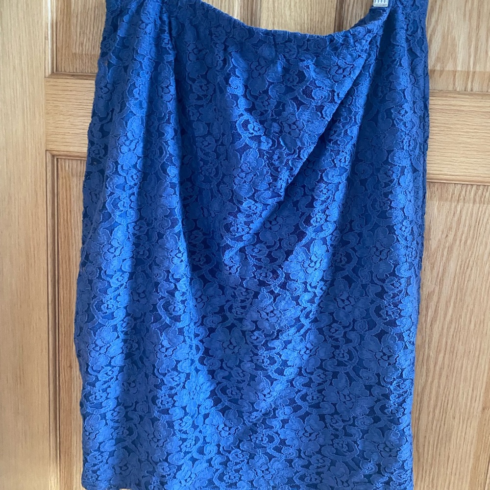Plus size Nordstrom skirt in dusty blue lace